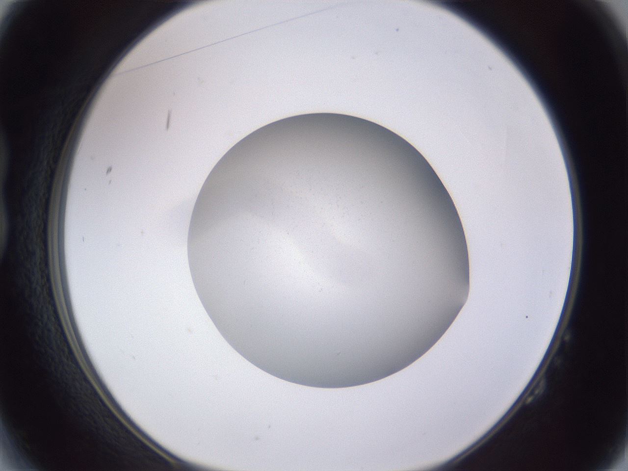 folderID191_plateID2191_batchID10238_wellNum14_profileID1_d1_r148324_ef.jpg