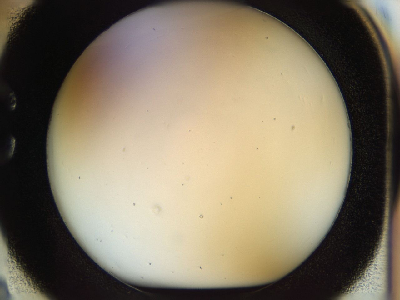 04rv_C2_ImagerDefaults_0.jpg