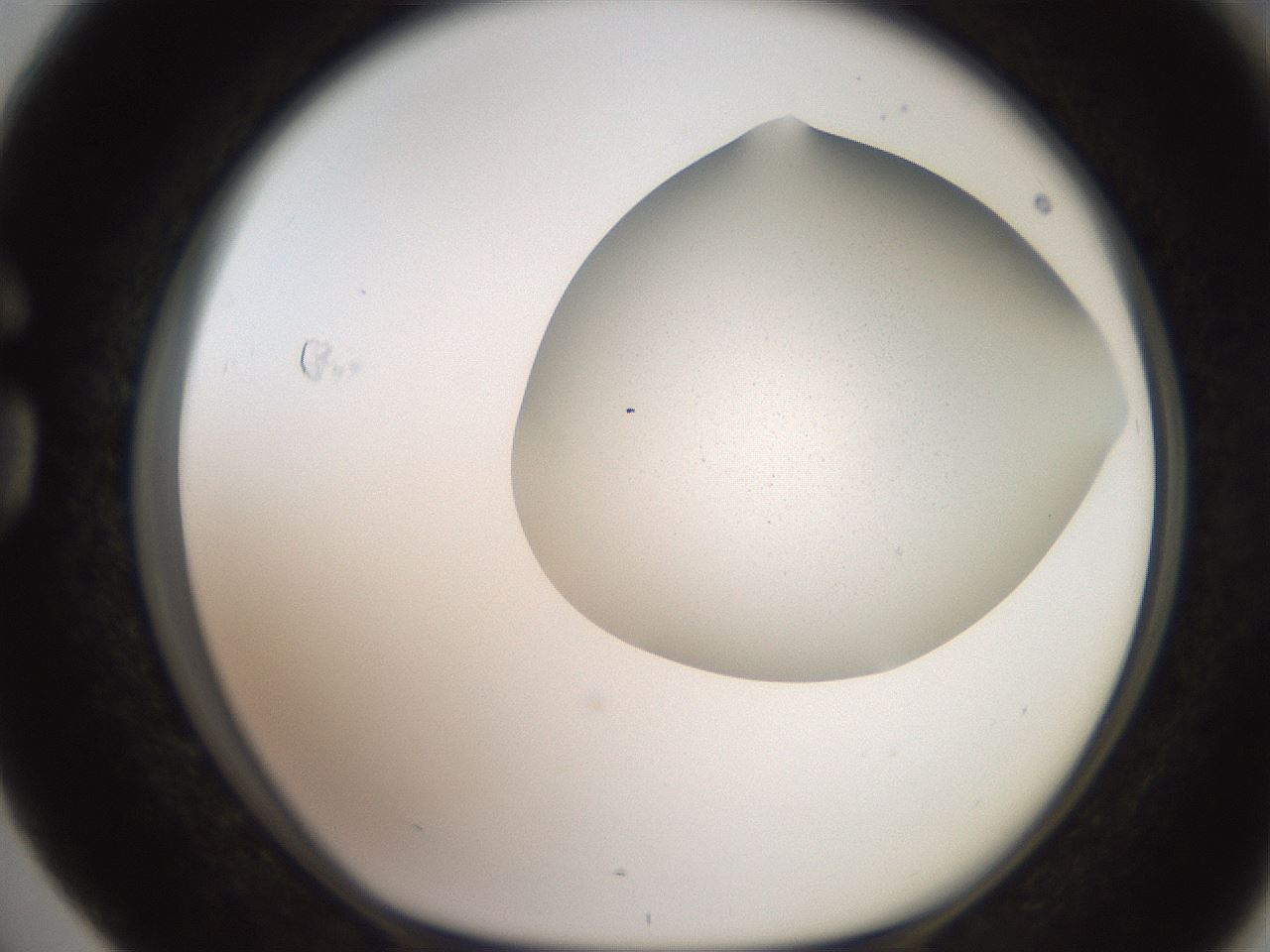 folderID205_plateID2205_batchID9829_wellNum76_profileID1_d1_r150093_ef.jpg