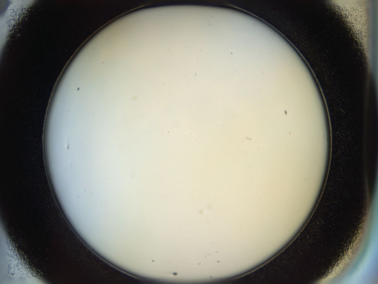 04rv_B8_ImagerDefaults_0.jpg