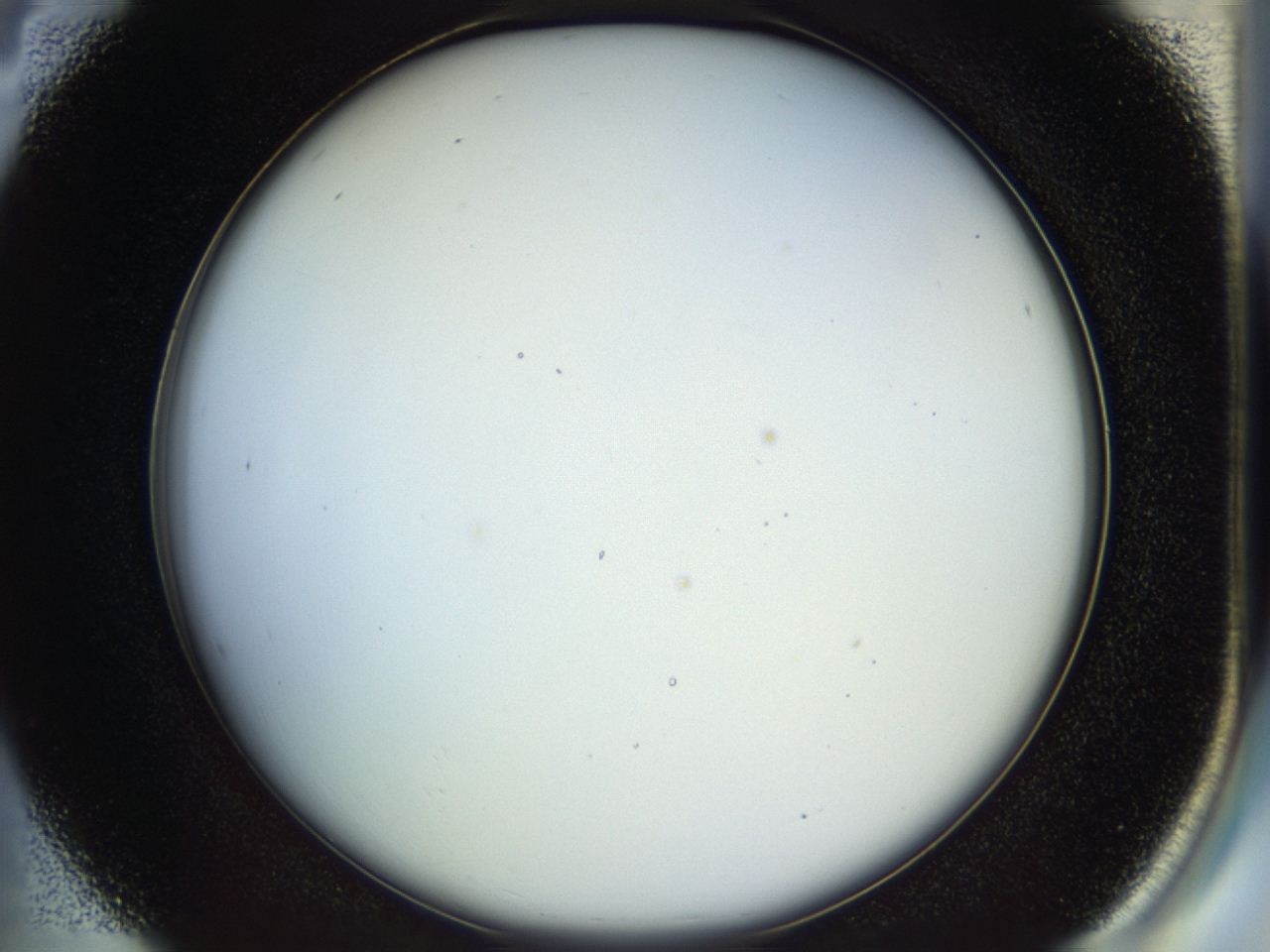 04rv_B4_ImagerDefaults_0.jpg