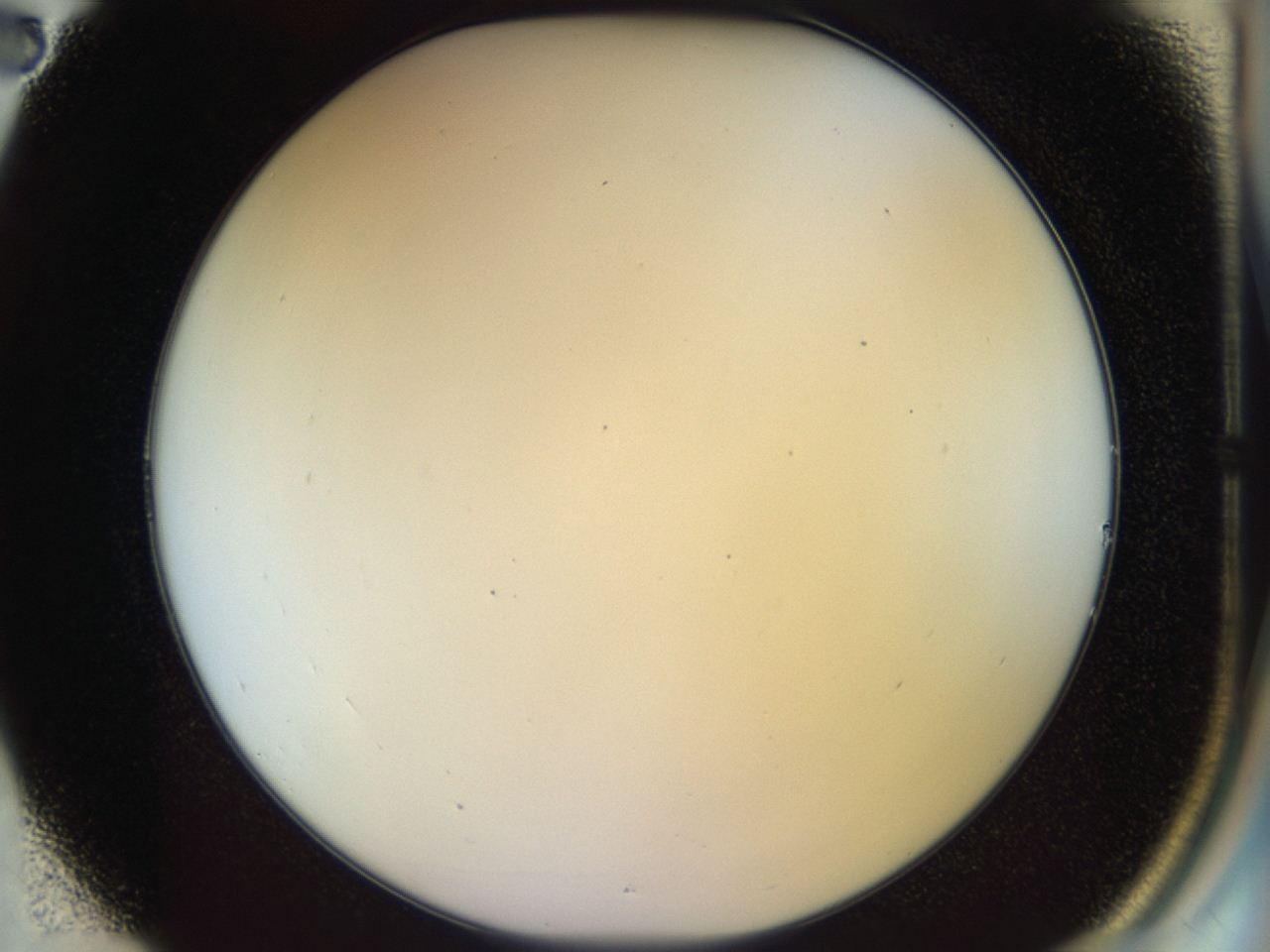 04rv_B2_ImagerDefaults_0.jpg