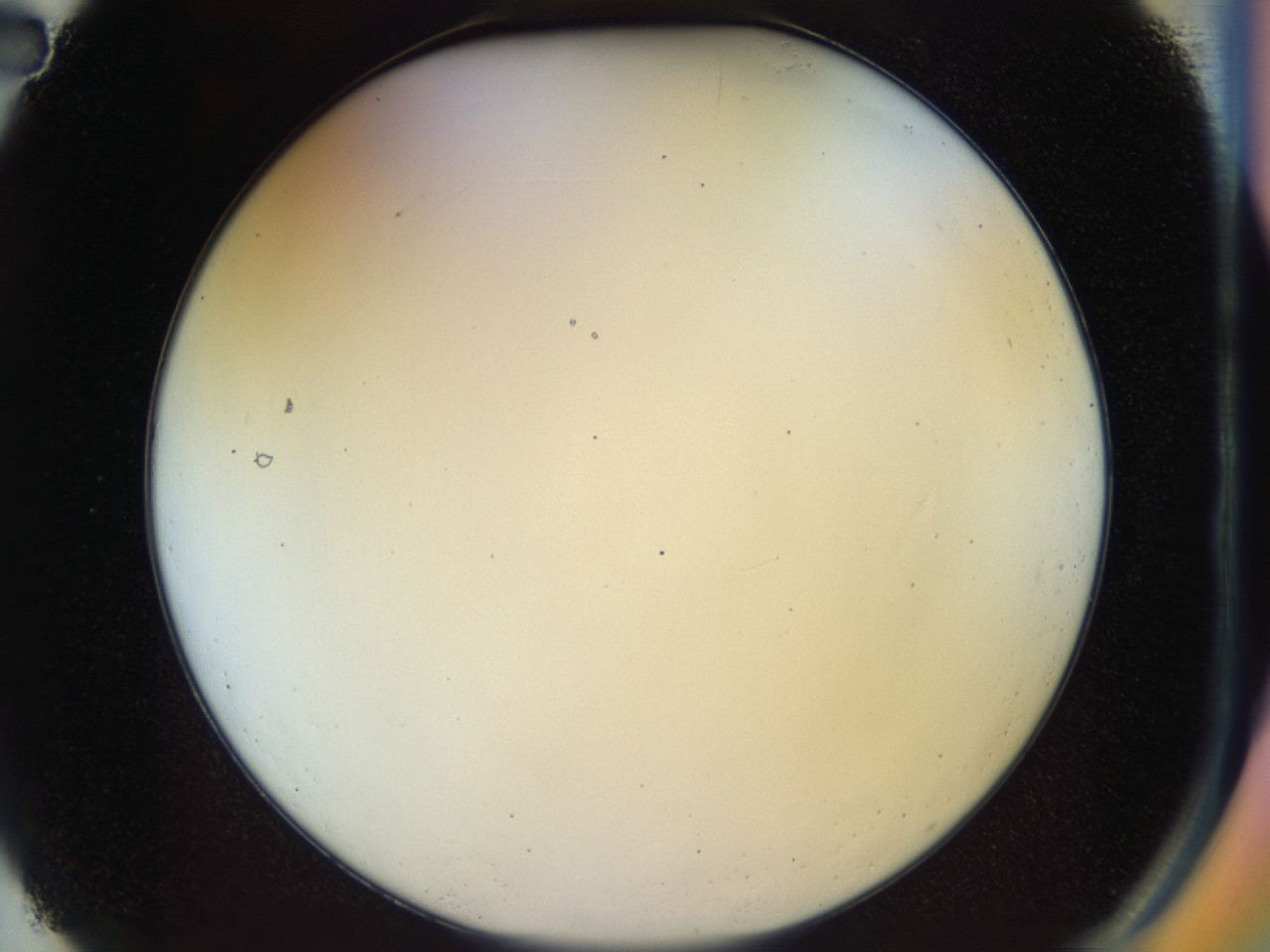 04rv_A2_ImagerDefaults_0.jpg