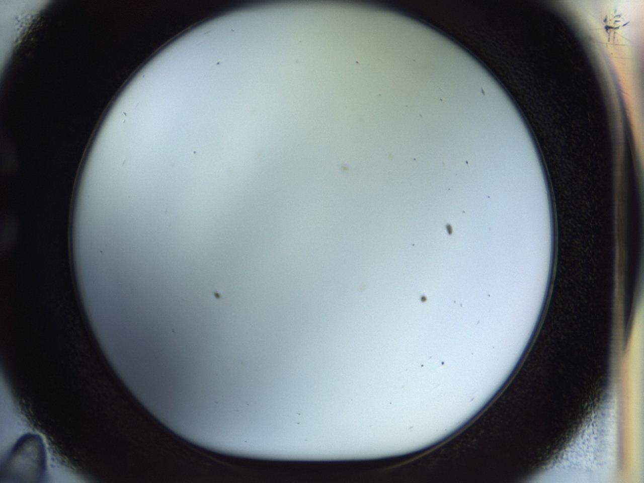 04rv_C11_ImagerDefaults_0.jpg