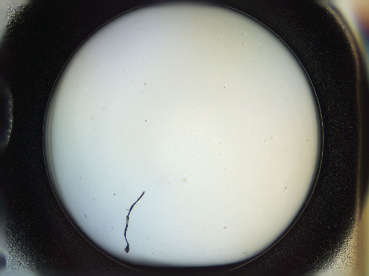 04rv_D5_ImagerDefaults_0.jpg