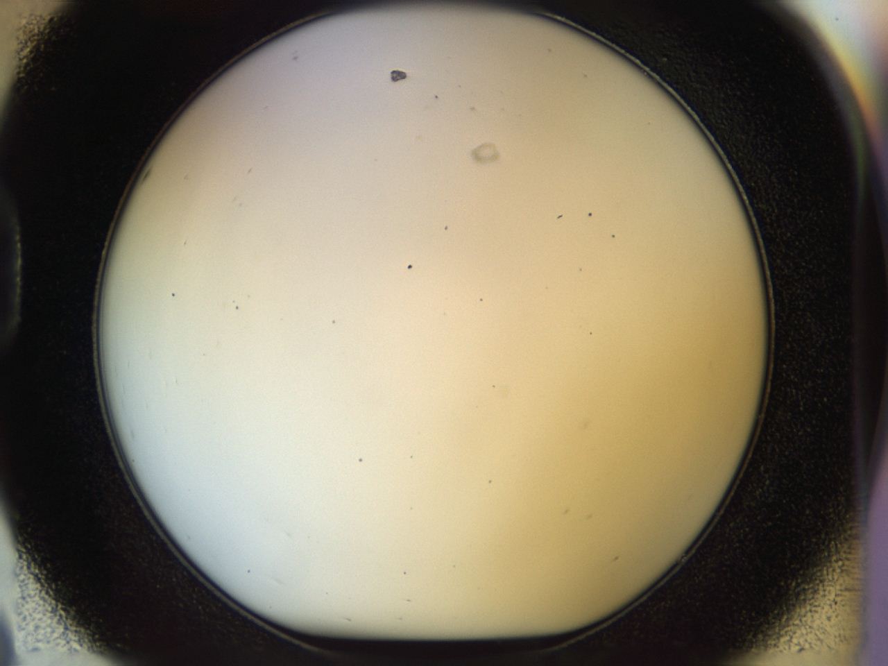04rv_D8_ImagerDefaults_0.jpg