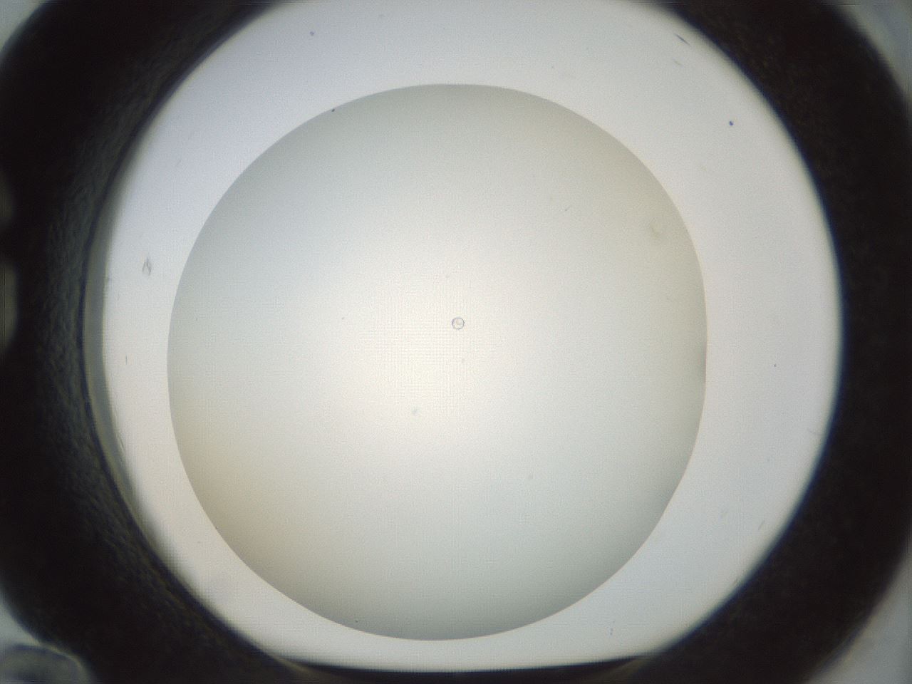 folderID209_plateID1209_batchID3435_wellNum84_profileID1_d1_r69318_ef.jpg