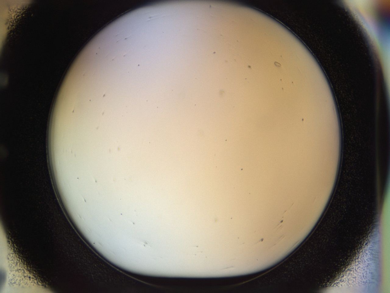 04rv_E7_ImagerDefaults_0.jpg
