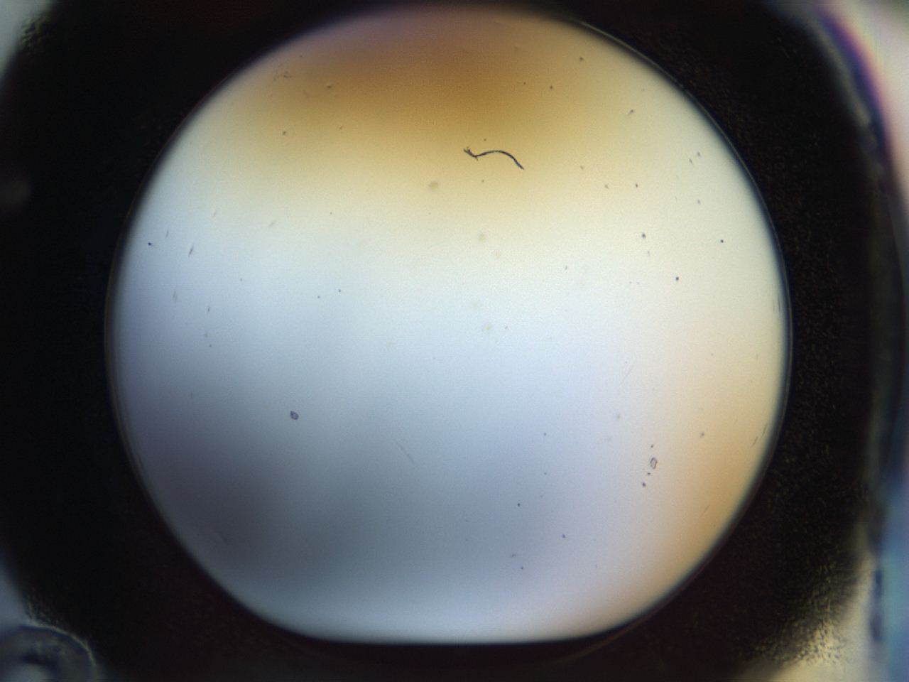 04rv_F12_ImagerDefaults_0.jpg