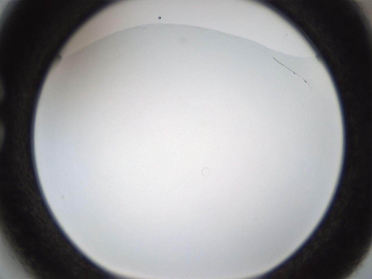 folderID213_plateID1213_batchID3528_wellNum27_profileID1_d1_r69012_ef.jpg