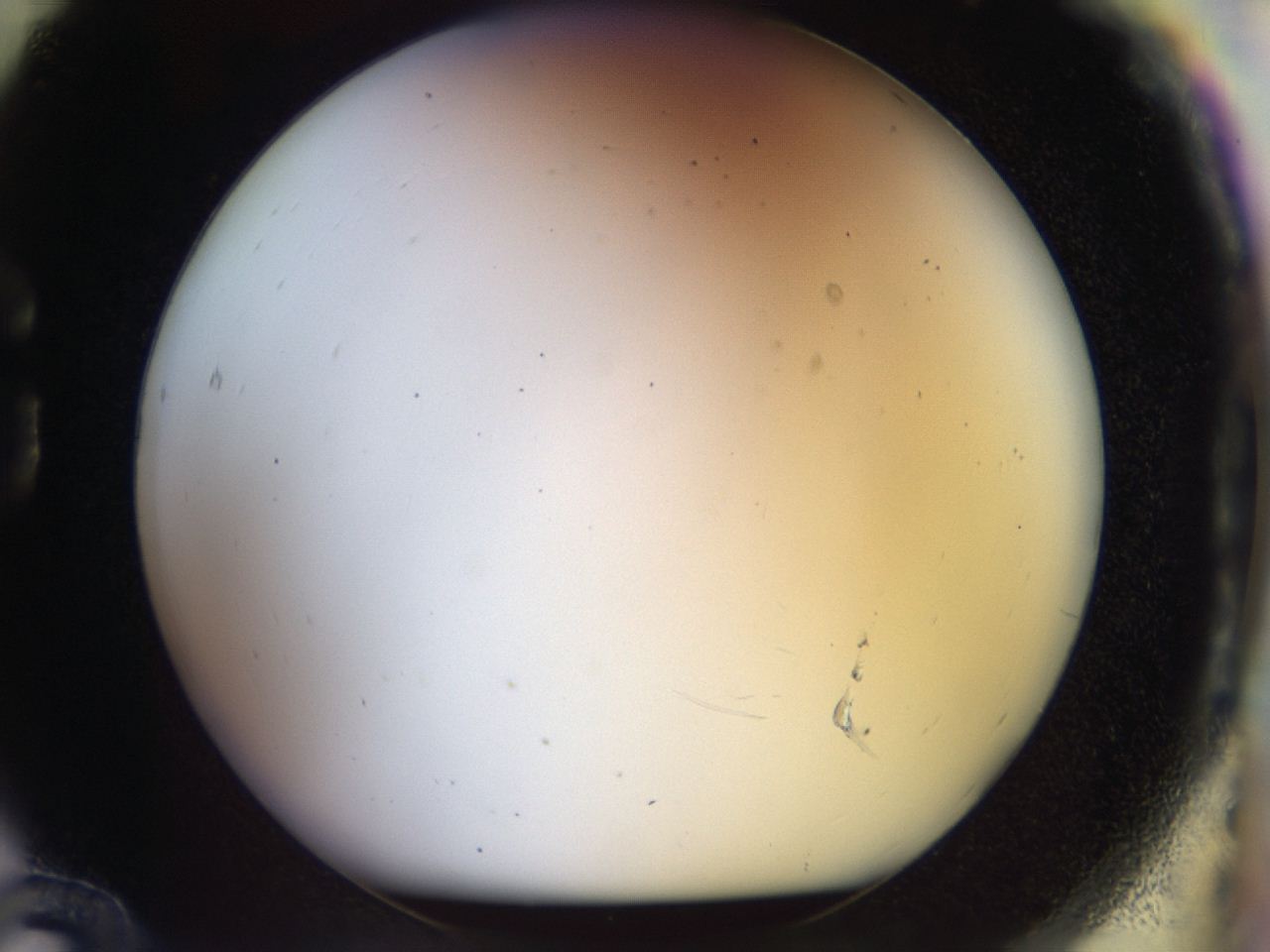 04rv_G12_ImagerDefaults_0.jpg