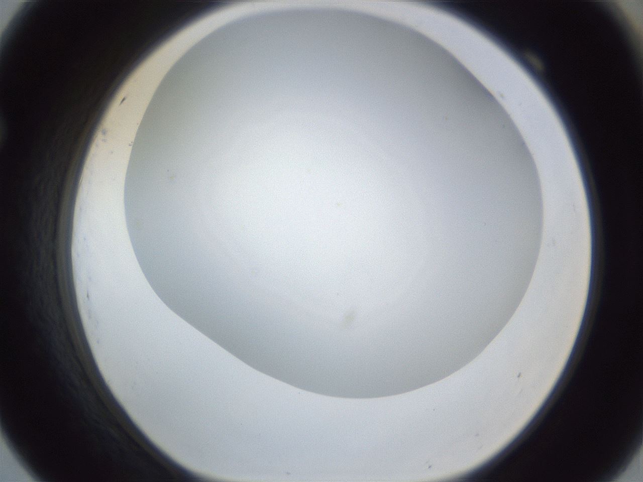 folderID215_plateID1215_batchID3377_wellNum69_profileID1_d1_r67272_ef.jpg