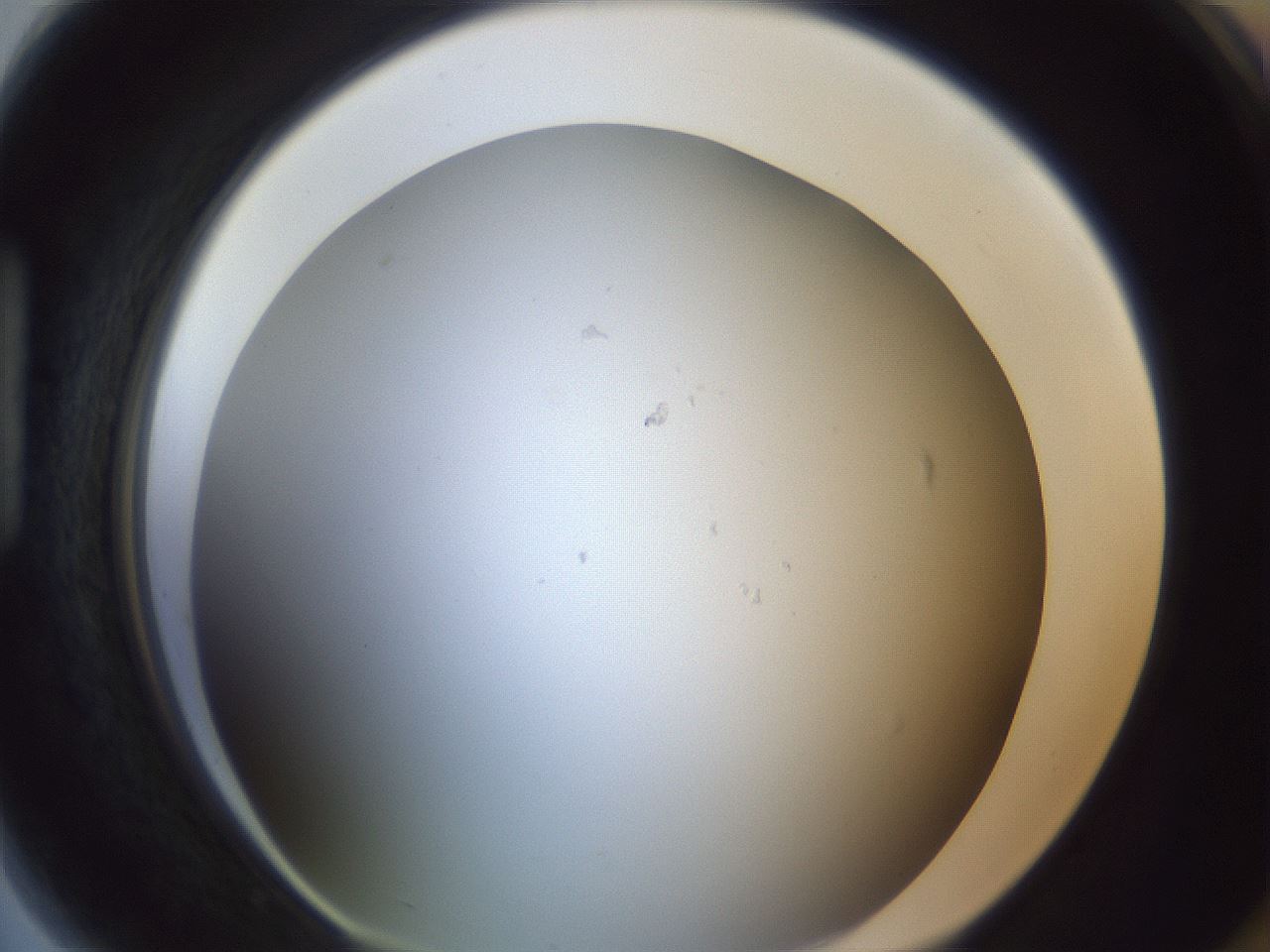 folderID215_plateID1215_batchID3377_wellNum89_profileID1_d1_r67312_ef.jpg