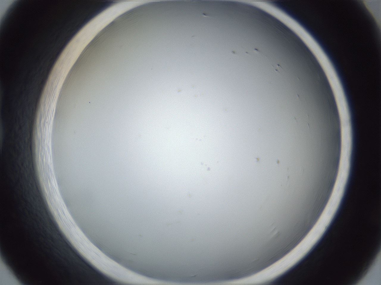 folderID215_plateID1215_batchID4430_wellNum20_profileID1_d1_r67174_ef.jpg