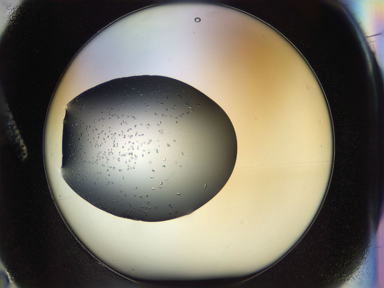 04rw_A2_ImagerDefaults_6.jpg