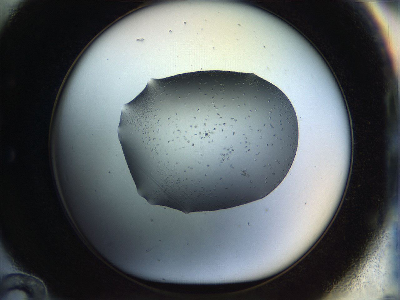 04rw_E12_ImagerDefaults_6.jpg