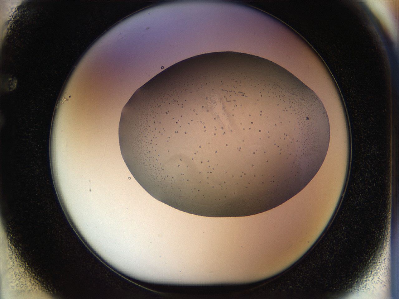 04rw_F1_ImagerDefaults_6.jpg