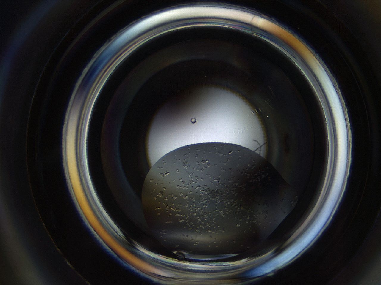 04ry_A4_ImagerDefaults_9.jpg