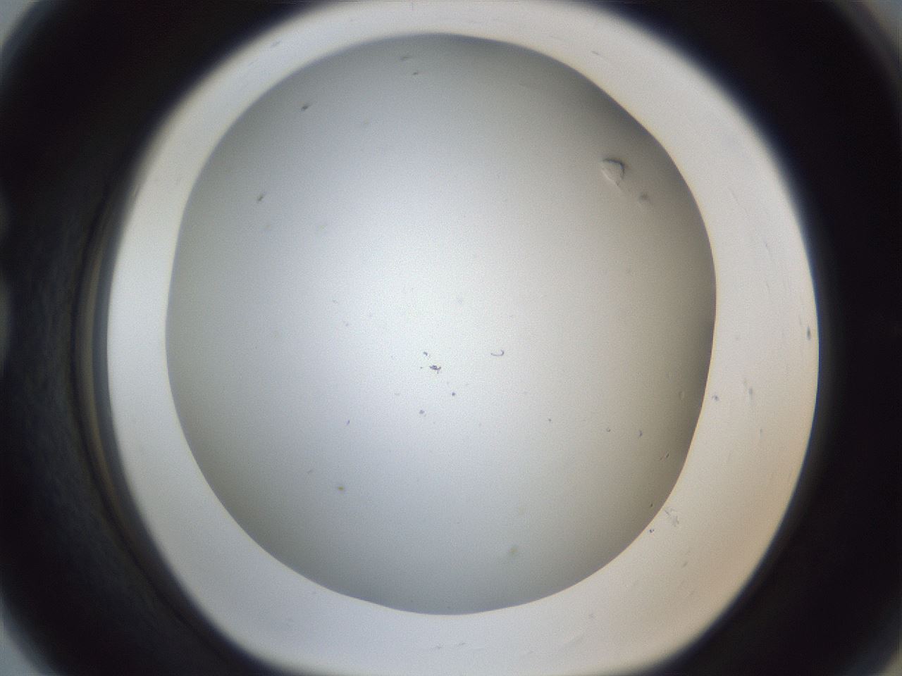 folderID217_plateID1217_batchID3340_wellNum80_profileID1_d1_r68926_ef.jpg