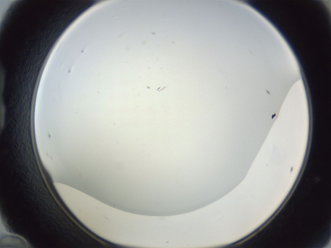 folderID217_plateID1217_batchID4197_wellNum24_profileID1_d1_r68814_ef.jpg