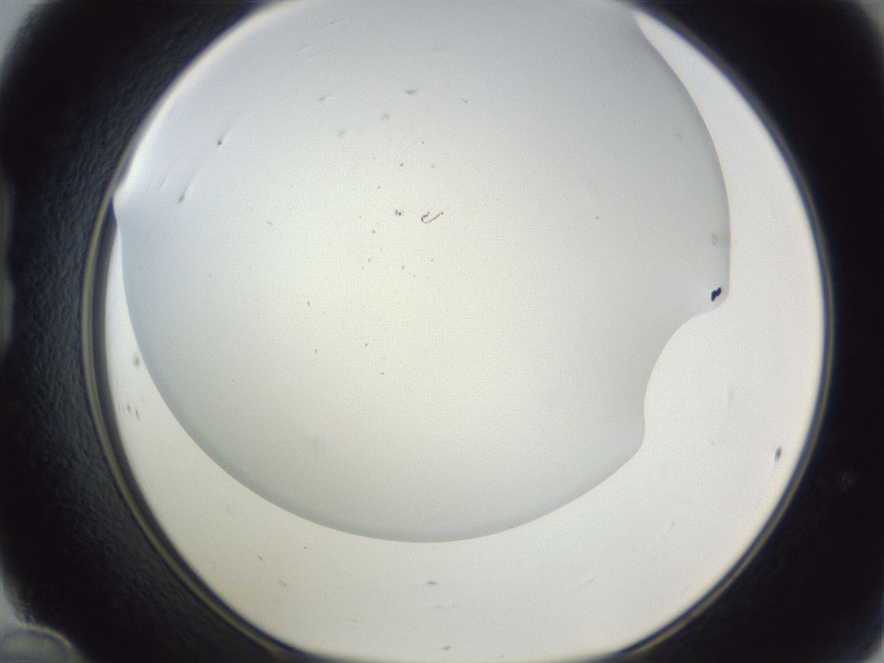 folderID217_plateID1217_batchID4658_wellNum24_profileID1_d1_r68814_ef.jpg