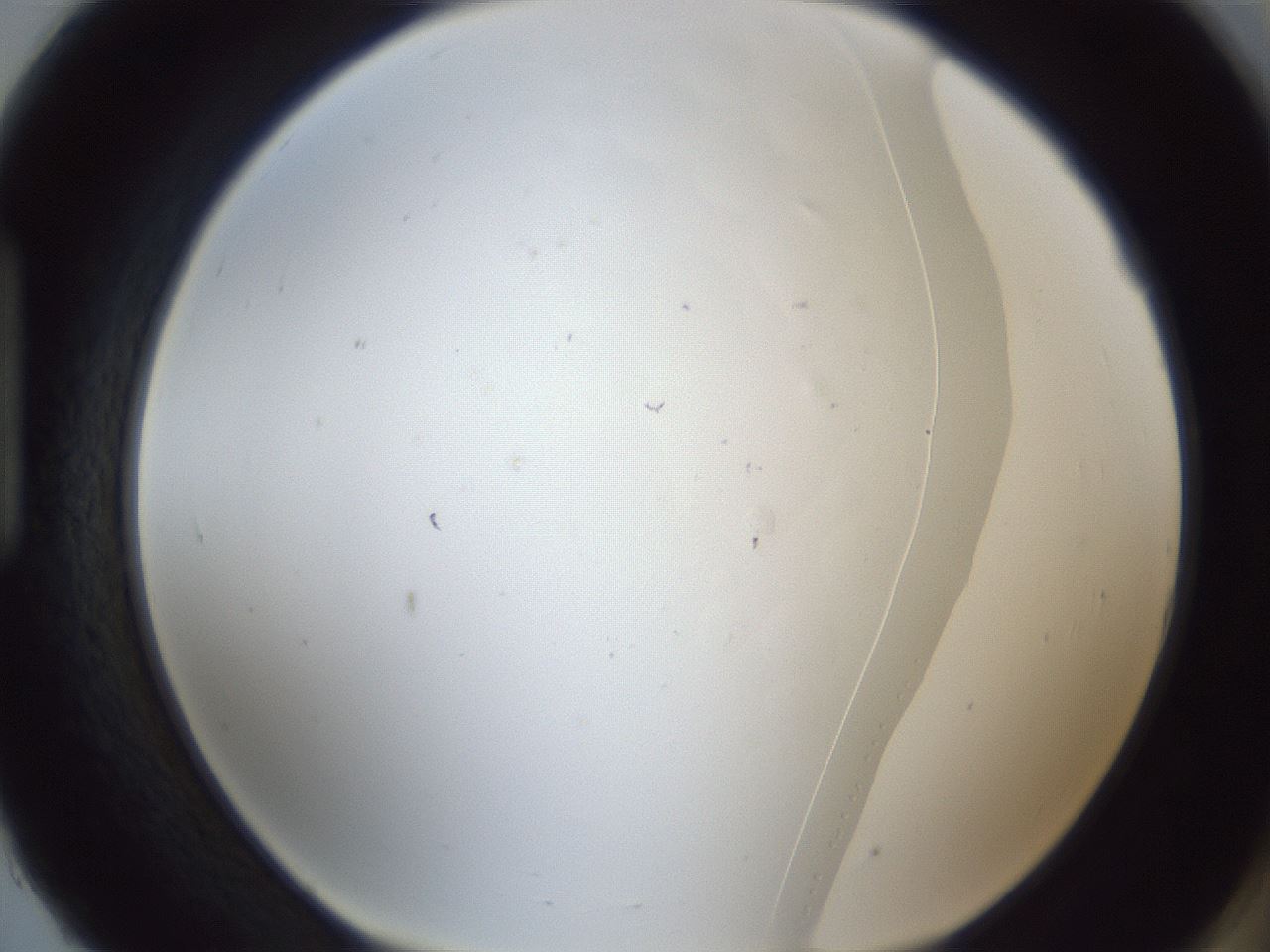 folderID217_plateID1217_batchID4658_wellNum93_profileID1_d1_r68952_ef.jpg