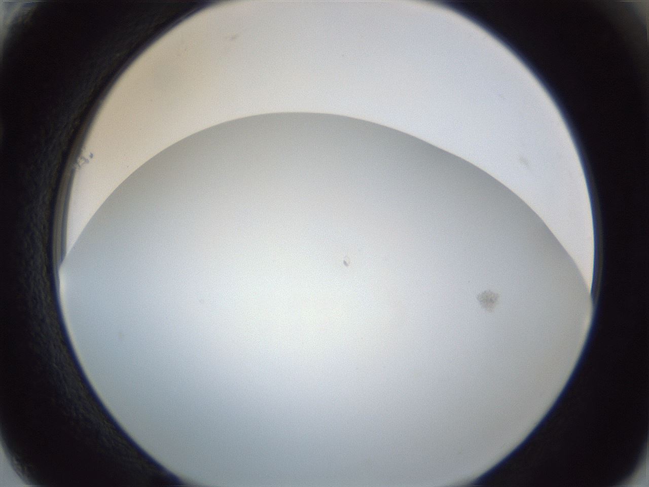 folderID218_plateID1218_batchID3531_wellNum61_profileID1_d1_r69464_ef.jpg