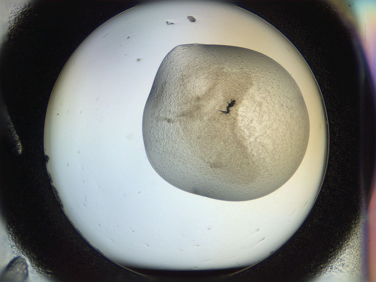 04rz_A11_ImagerDefaults_8.jpg
