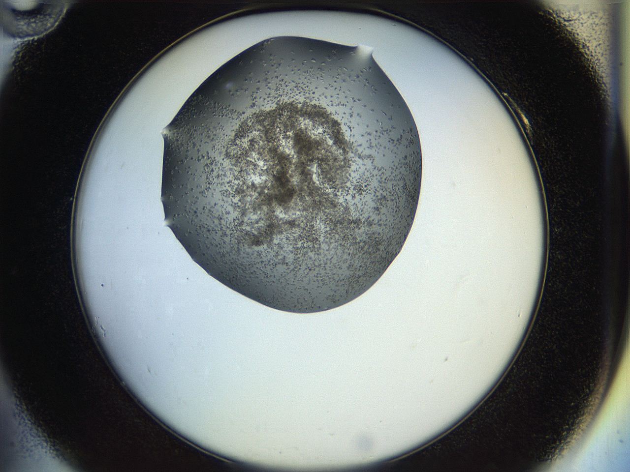 04rz_A10_ImagerDefaults_9.jpg