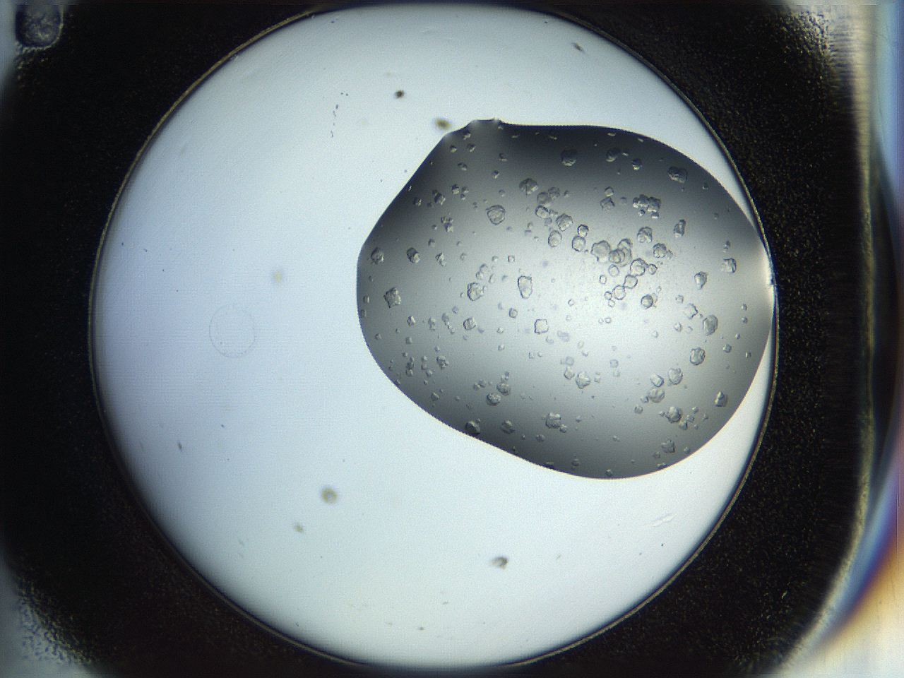 04rz_D11_ImagerDefaults_9.jpg