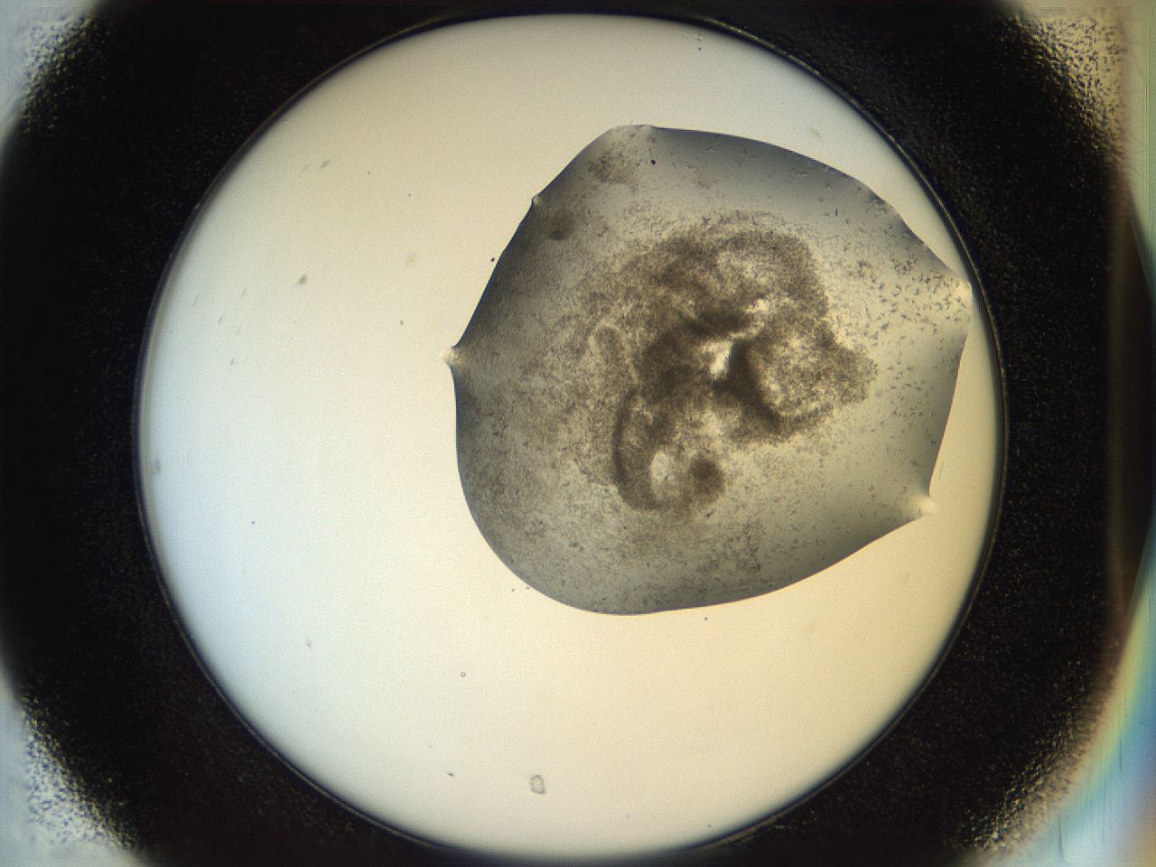 04rz_C7_ImagerDefaults_8.jpg