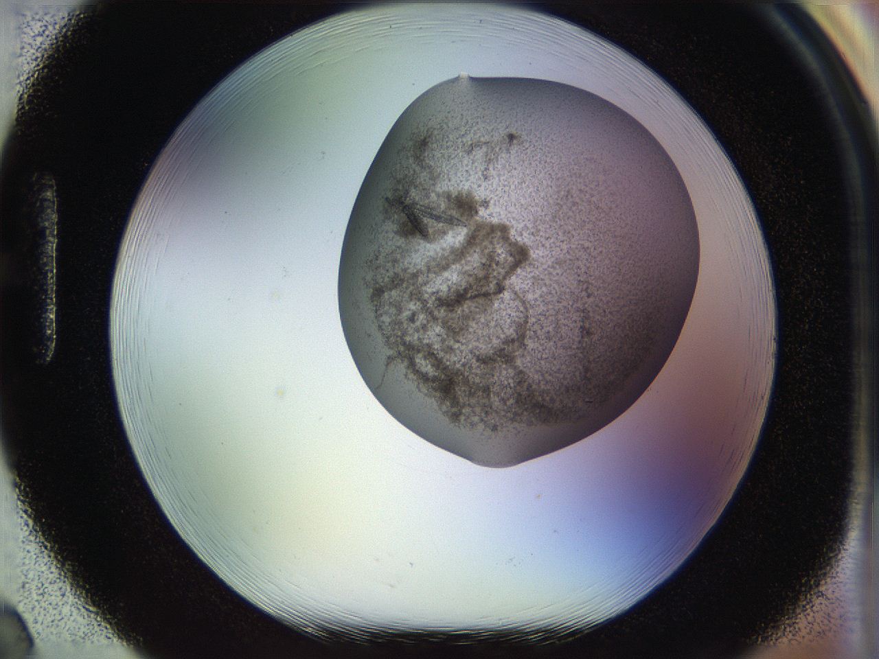 04s0_H2_ImagerDefaults_9.jpg