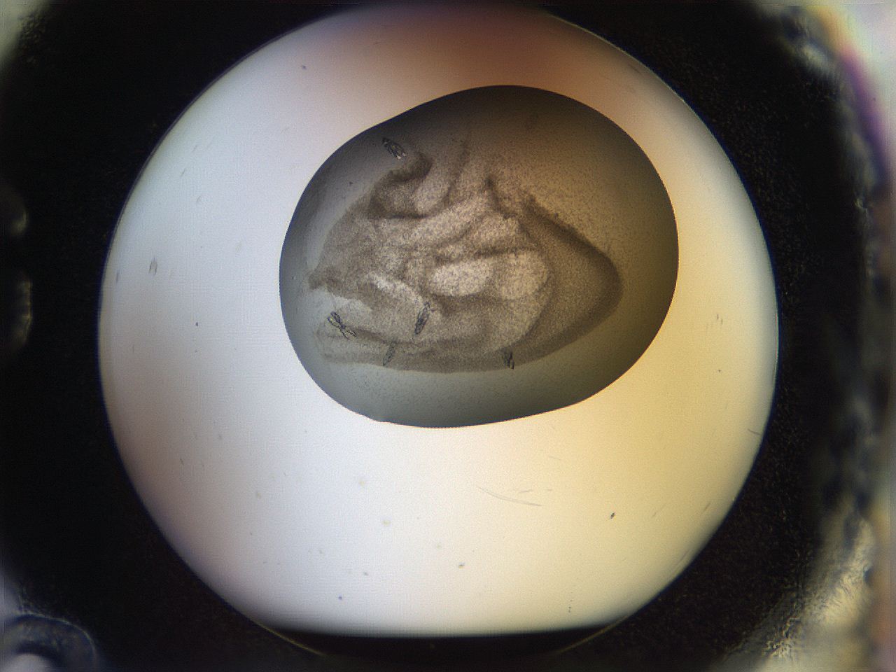 04s0_G12_ImagerDefaults_9.jpg