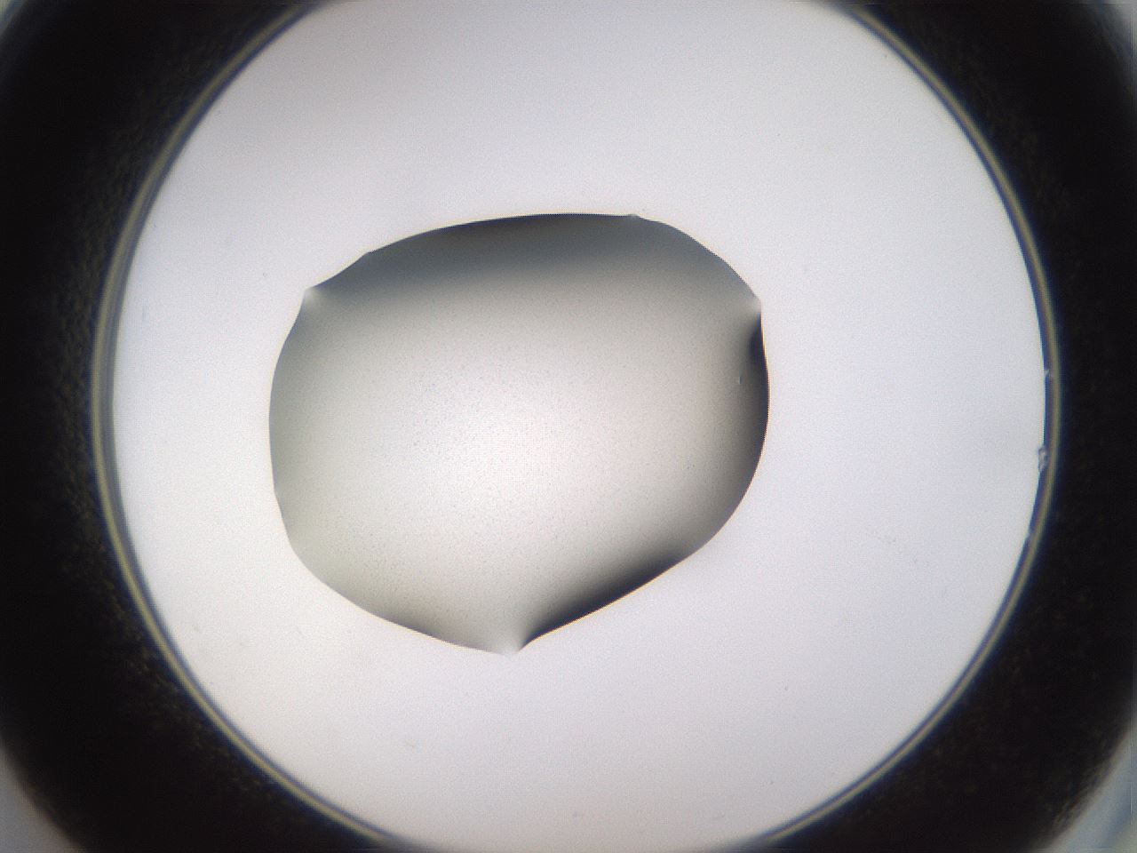 folderID236_plateID3236_batchID18165_wellNum14_profileID1_d2_r281849_ef.jpg