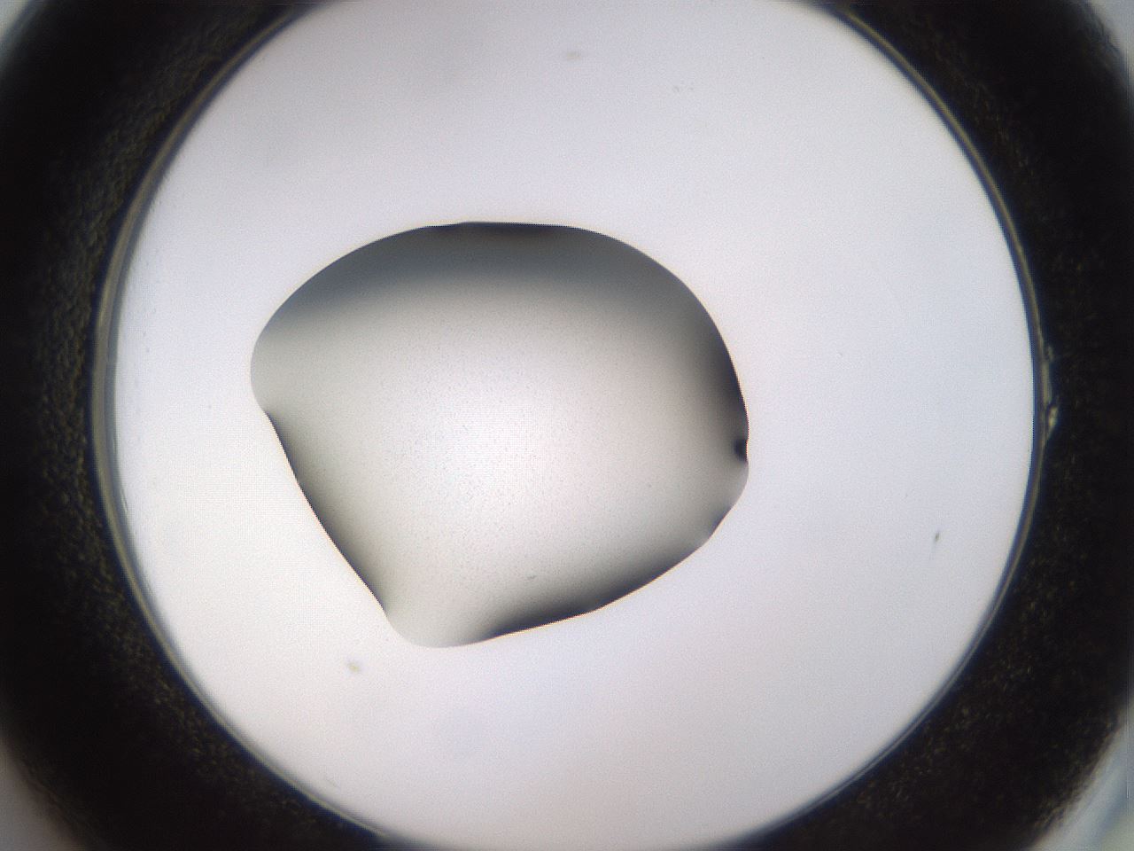 folderID236_plateID3236_batchID18165_wellNum1_profileID1_d2_r281823_ef.jpg
