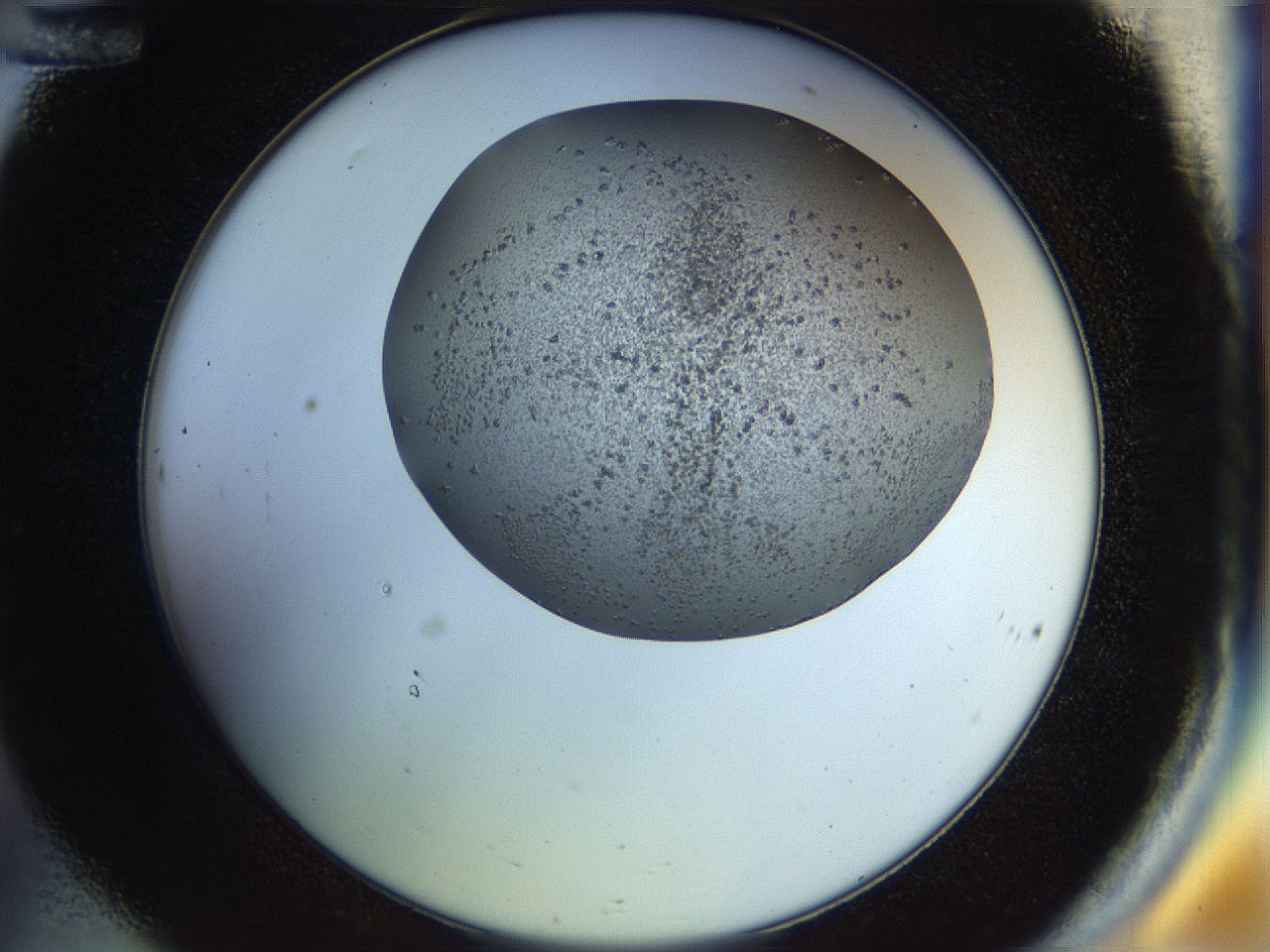 04s1_C12_ImagerDefaults_8.jpg