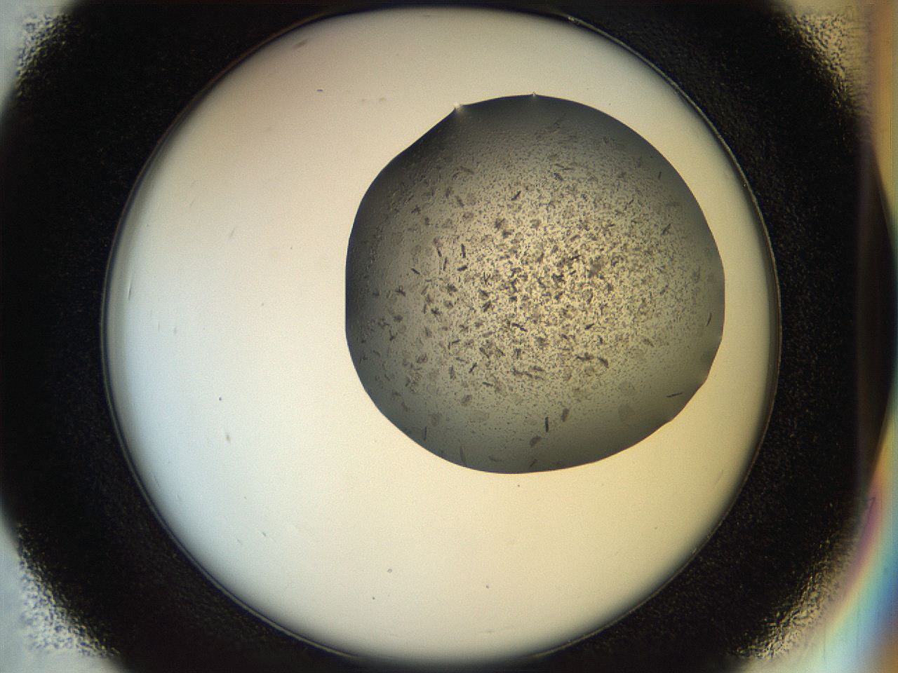04s1_D7_ImagerDefaults_9.jpg