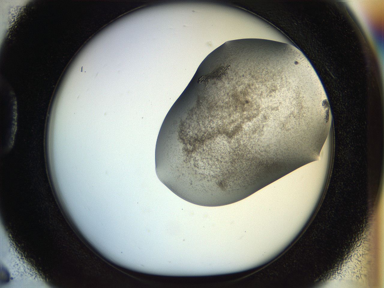 04s1_D6_ImagerDefaults_9.jpg