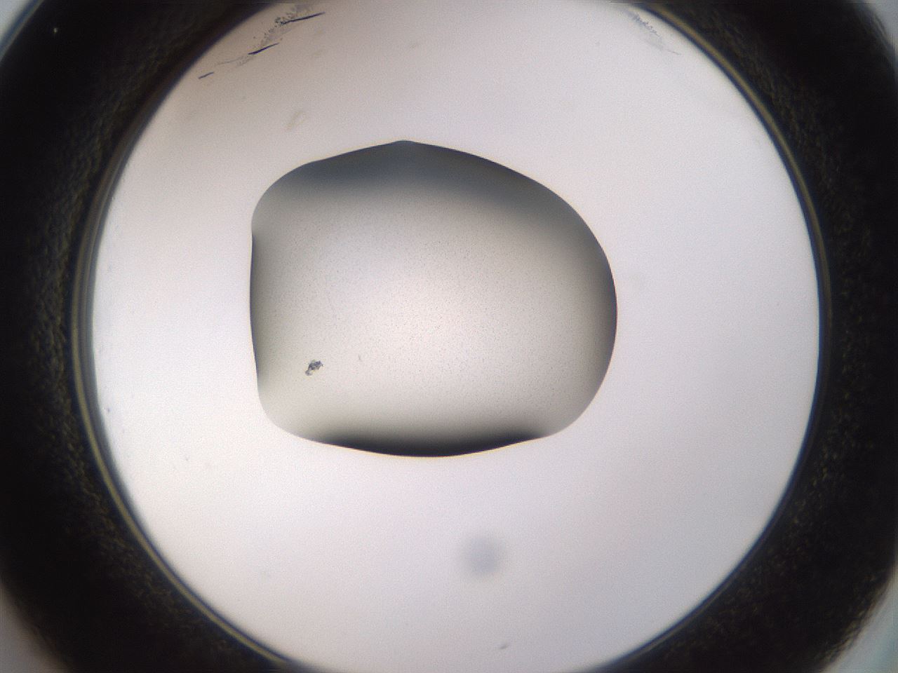 folderID236_plateID3236_batchID18916_wellNum25_profileID1_d2_r281871_ef.jpg