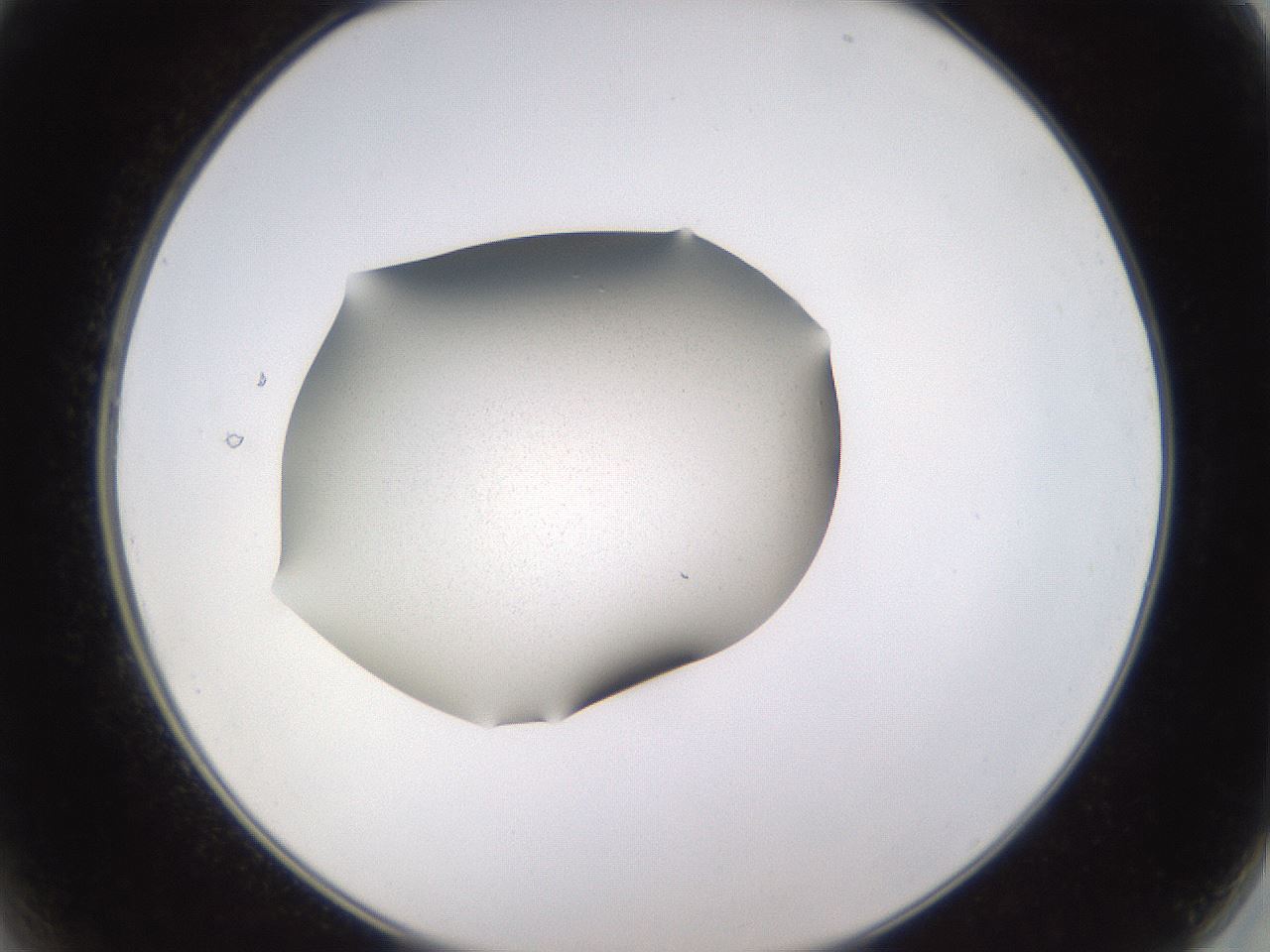 folderID236_plateID3236_batchID18916_wellNum2_profileID1_d2_r281825_ef.jpg