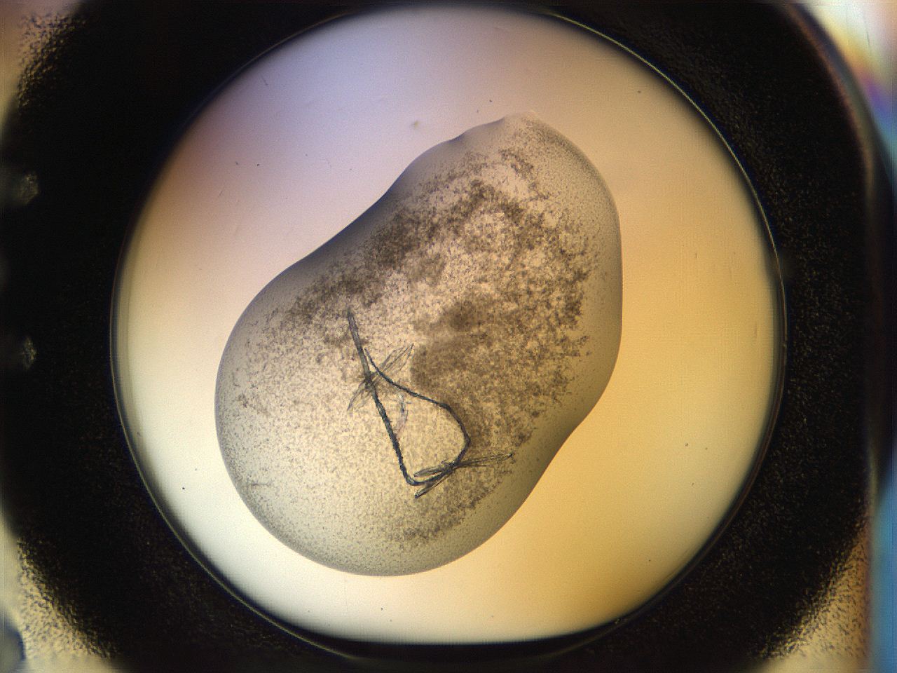 04s1_E2_ImagerDefaults_9.jpg