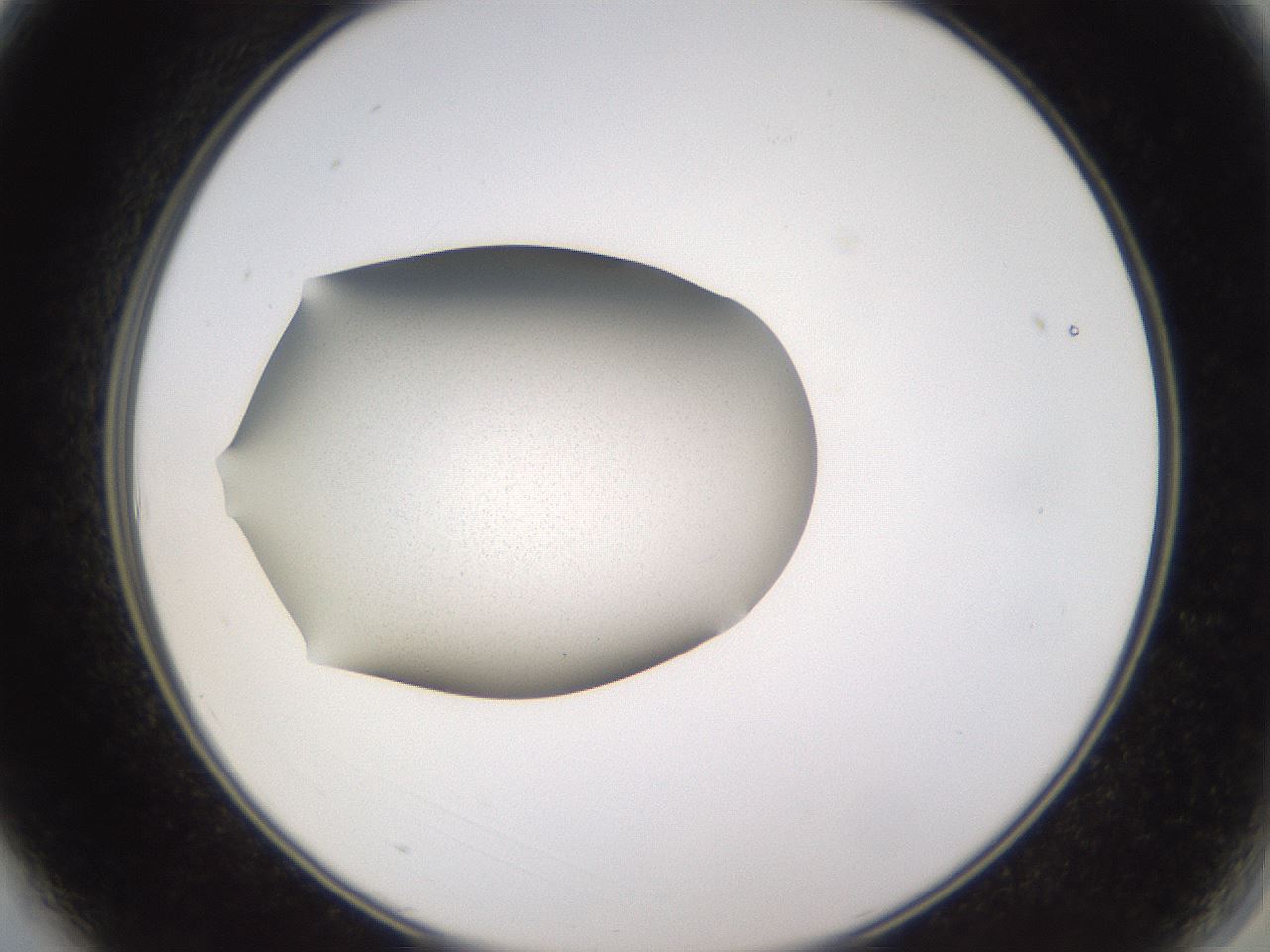 folderID236_plateID3236_batchID19173_wellNum3_profileID1_d2_r281827_ef.jpg