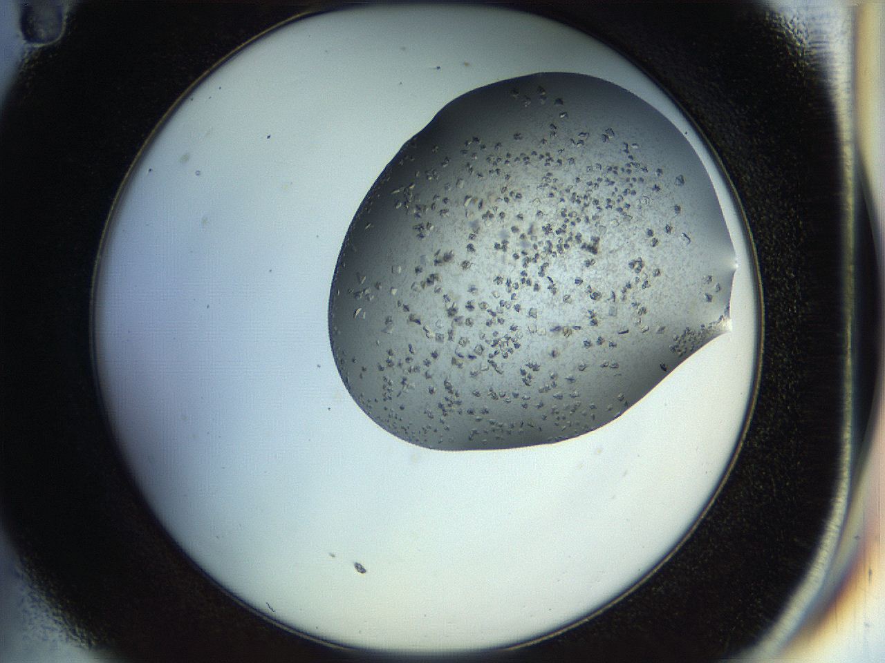 04s1_C11_ImagerDefaults_9.jpg