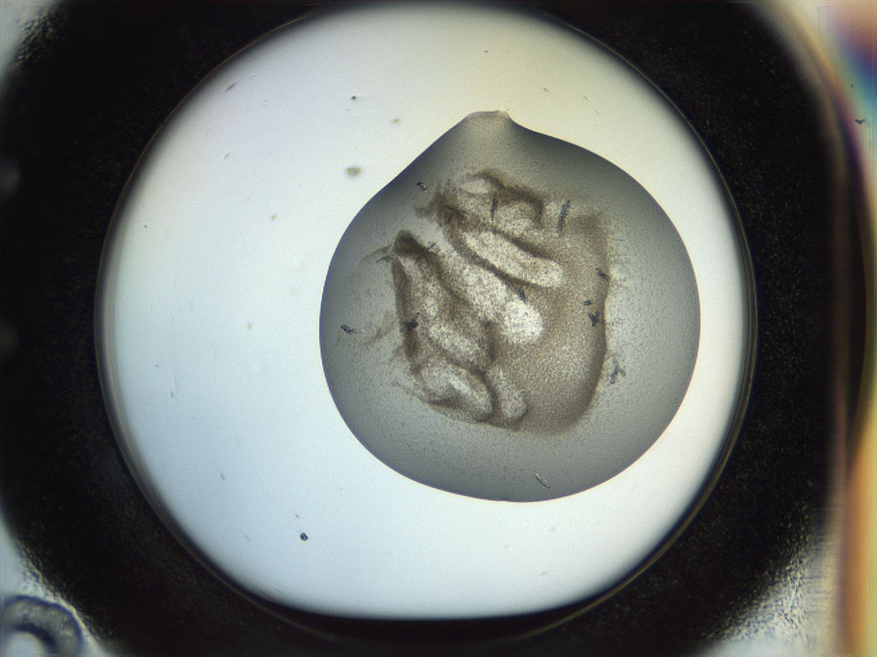 04s1_E10_ImagerDefaults_9.jpg