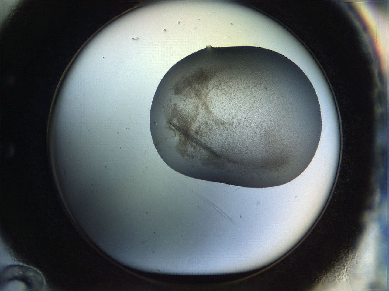 04s1_E12_ImagerDefaults_7.jpg