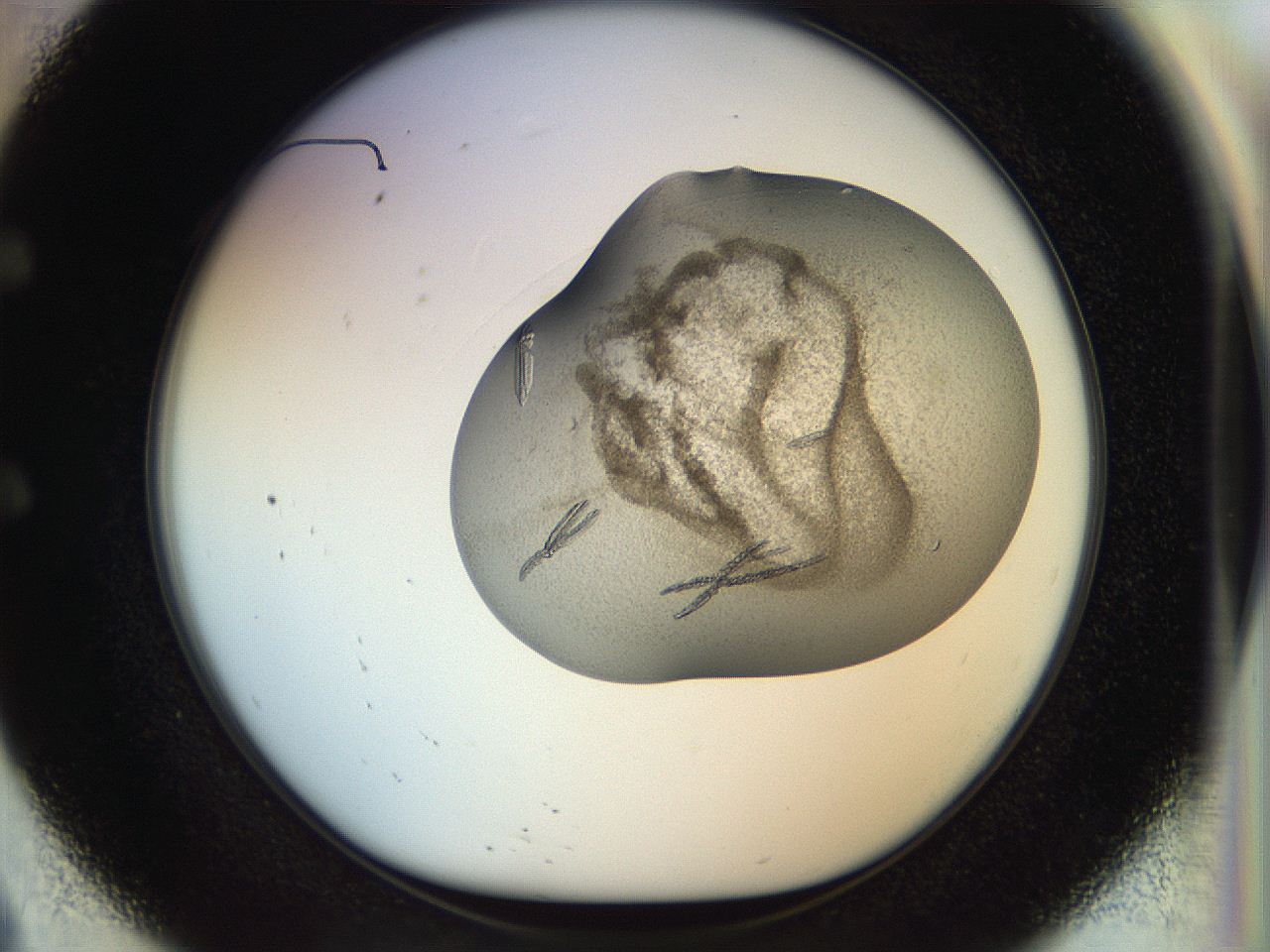 04s1_E9_ImagerDefaults_9.jpg