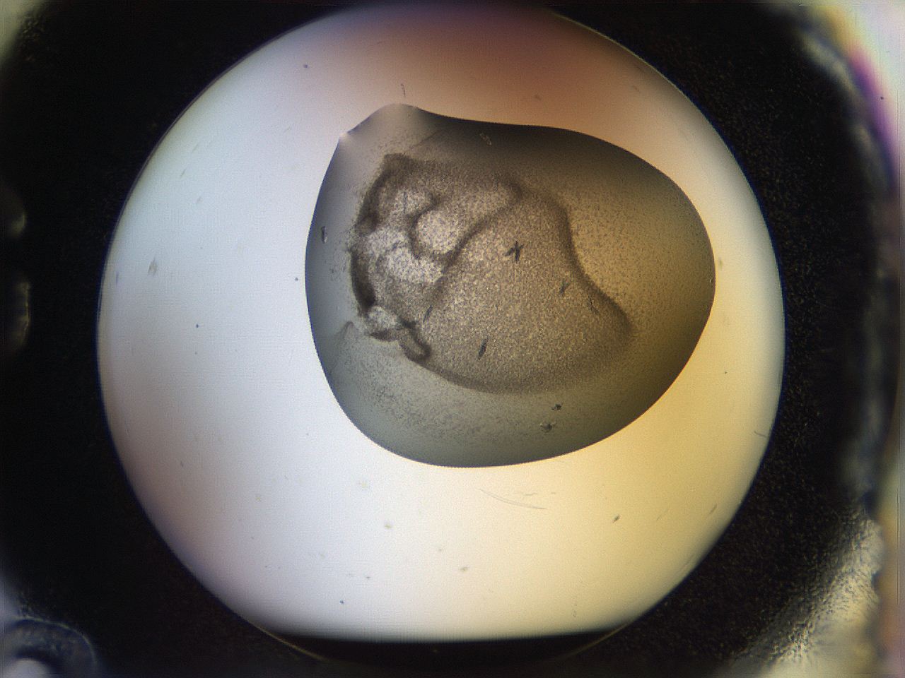 04s1_G12_ImagerDefaults_9.jpg