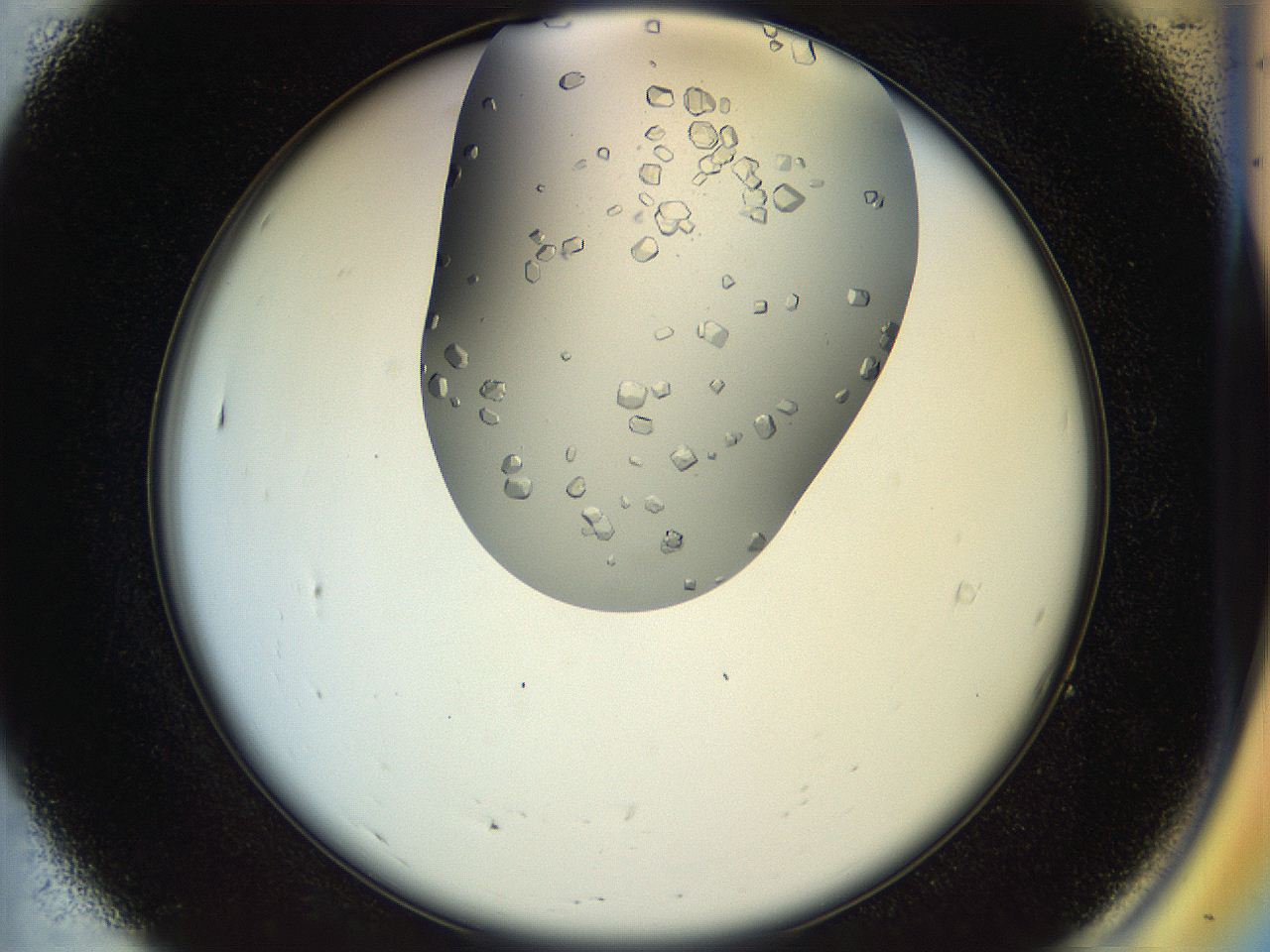 04s1_A7_ImagerDefaults_9.jpg