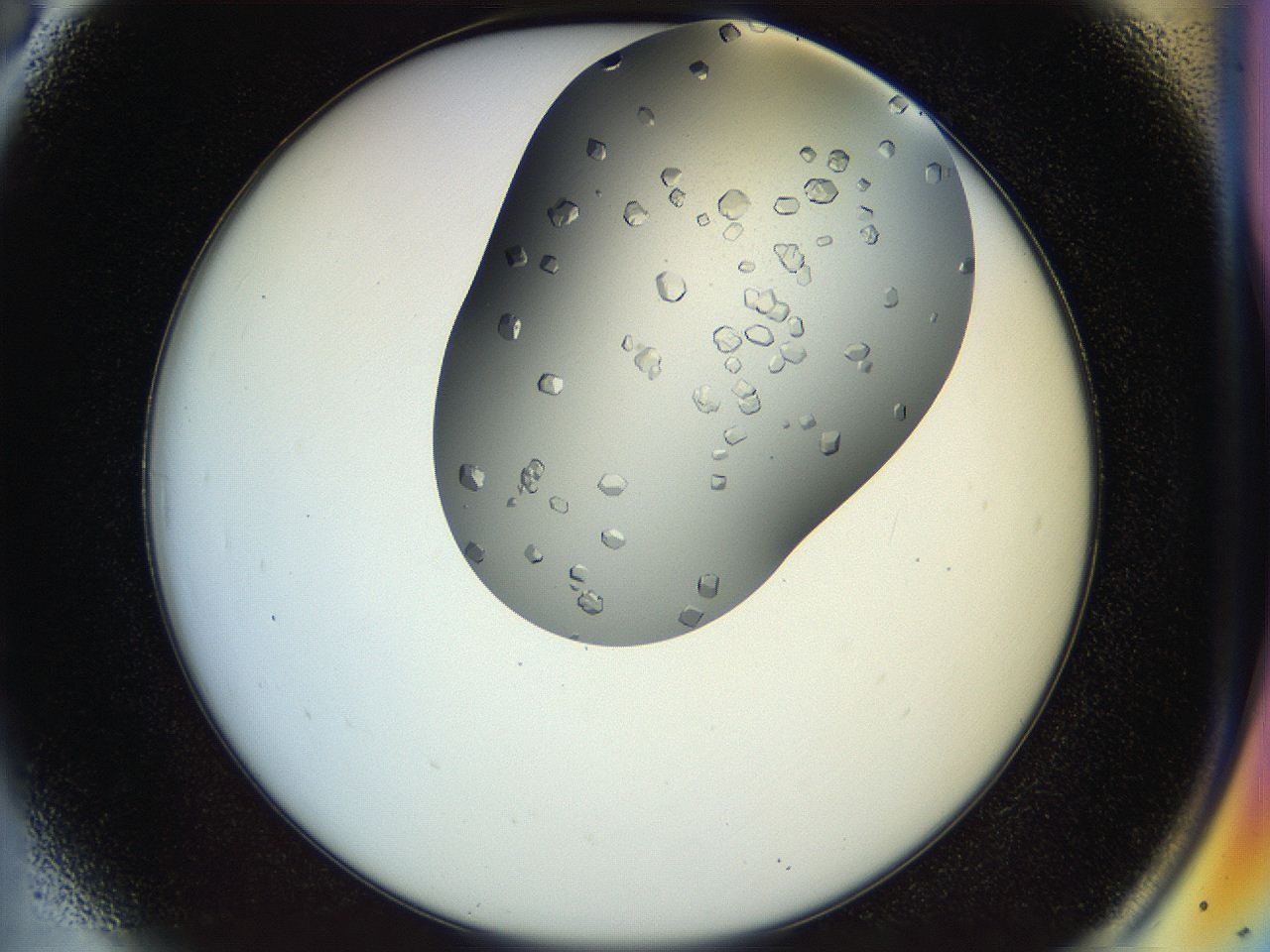 04s1_A6_ImagerDefaults_9.jpg