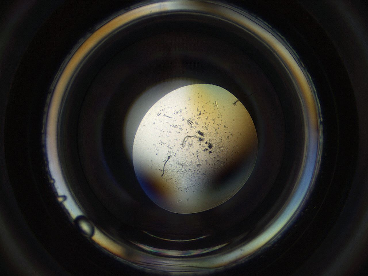 04s6_C6_ImagerDefaults_9.jpg